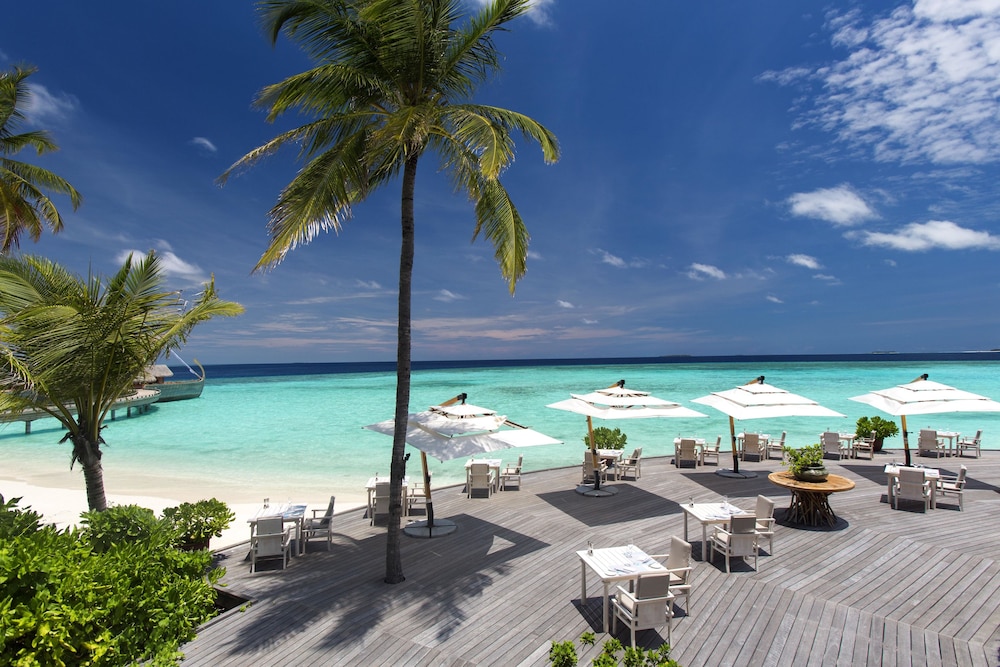 Milaidhoo Island Maldives — снимок 26