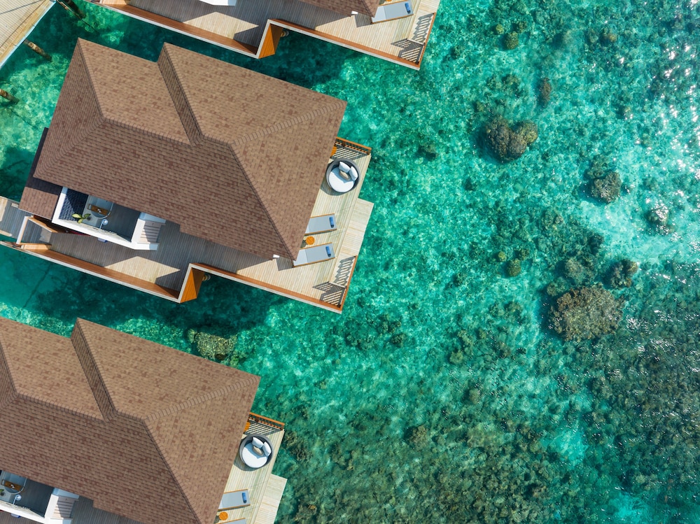 Avani + Fares Maldives — снимок 9