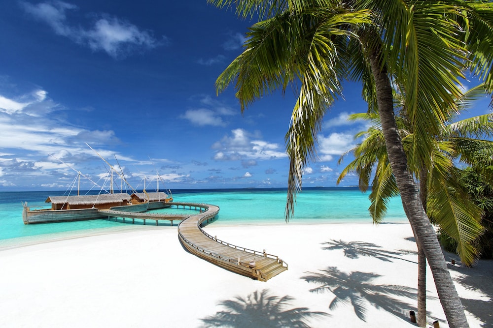 Milaidhoo Island Maldives — снимок 17