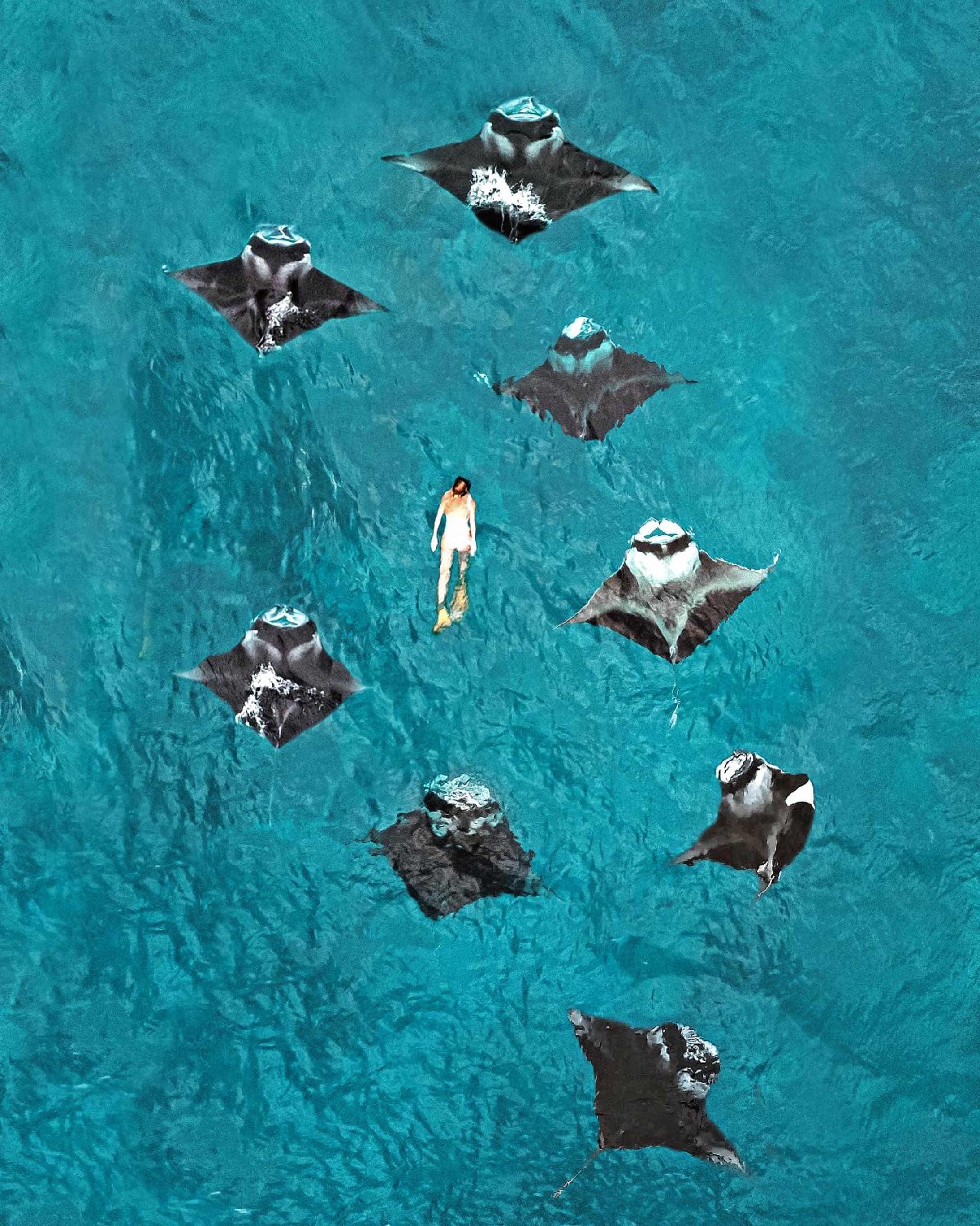 Fushifaru Maldives — снимок 6