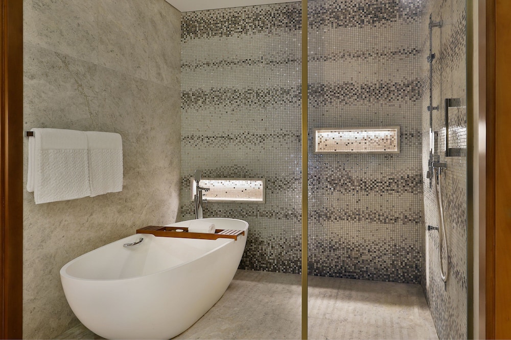 The St. Regis Downtown, Dubai — снимок 26