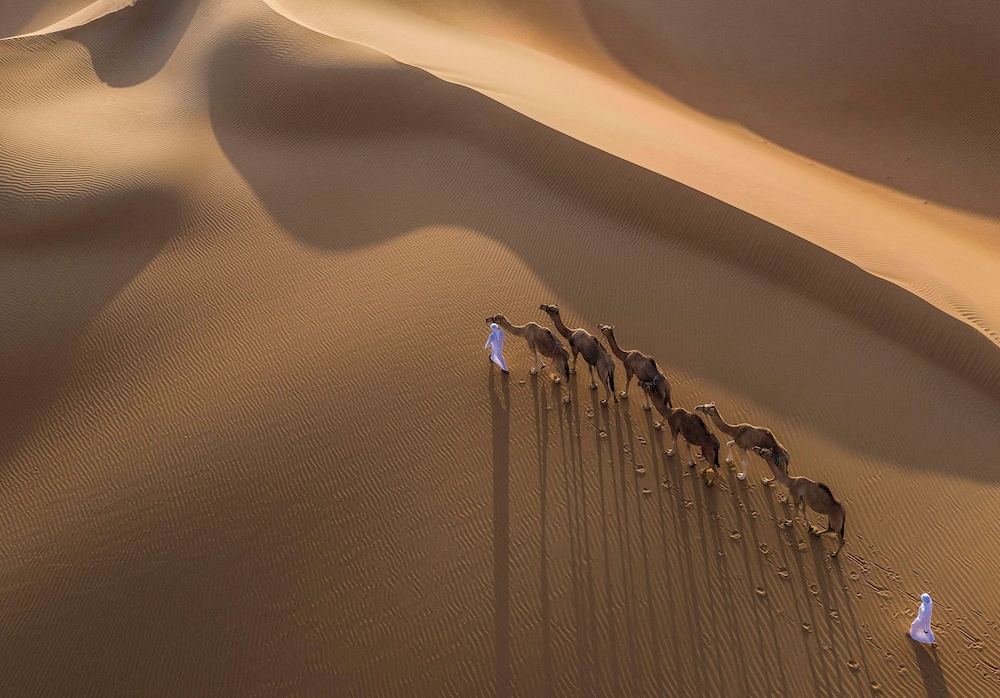 Anantara Qasr al Sarab Desert Resort — снимок 27