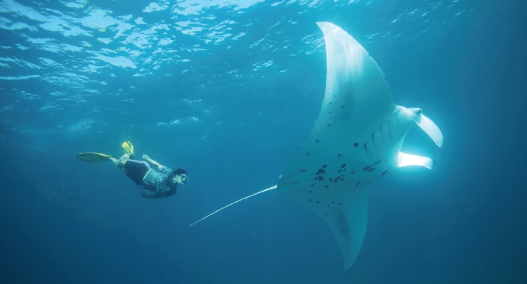 Anantara Resort and Spa Maldives — снимок 14