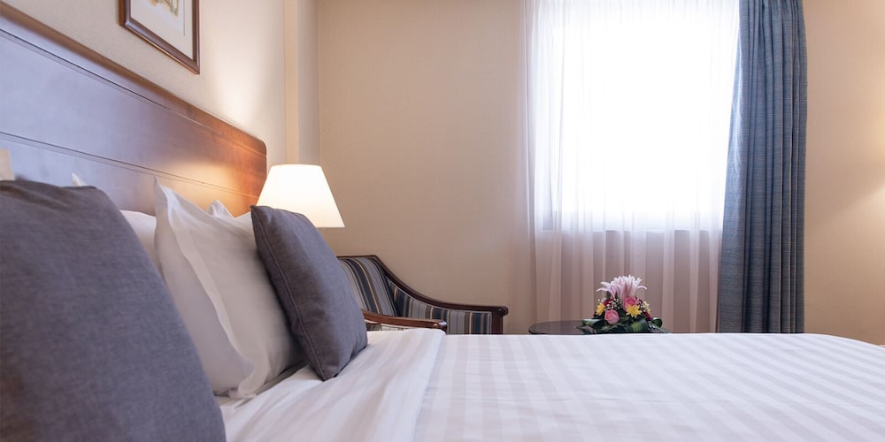 Crowne Plaza Riyadh Palace, an IHG Hotel — снимок 6