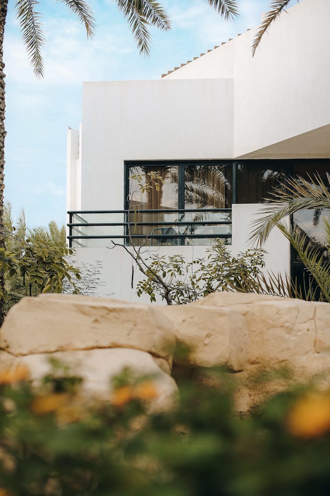 Dubai Marine Beach Resort & Spa — снимок 15