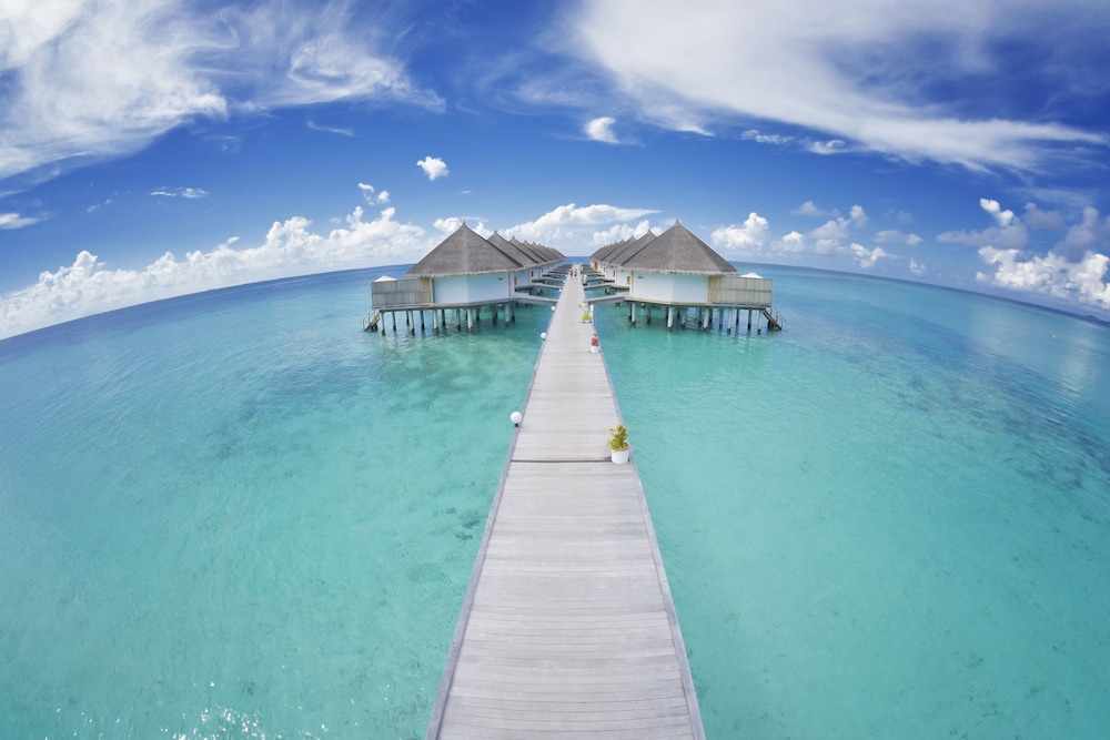 Angaga Island Resort and Spa — снимок 25