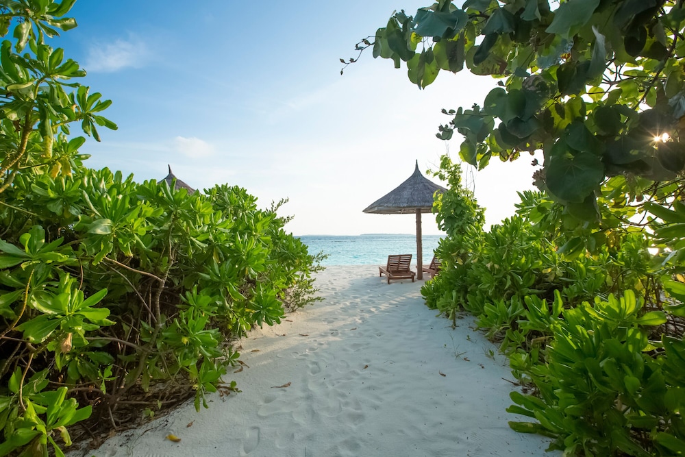 Reethi Faru Resort — снимок 22