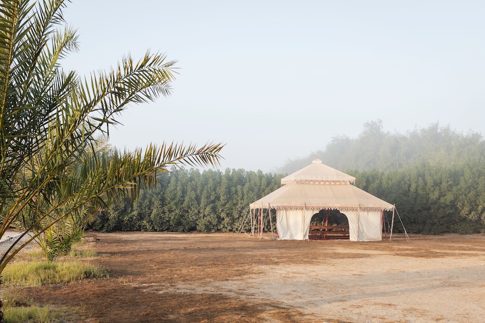 Heenat Salma Farm — снимок 18