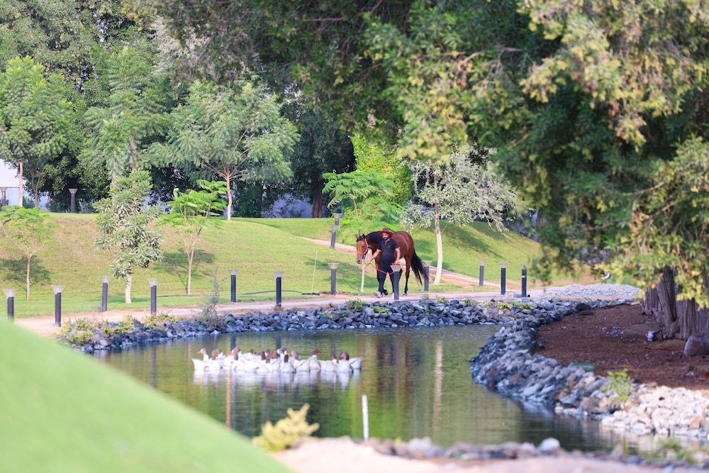 Anavrin Equestrian Retreat — снимок 14