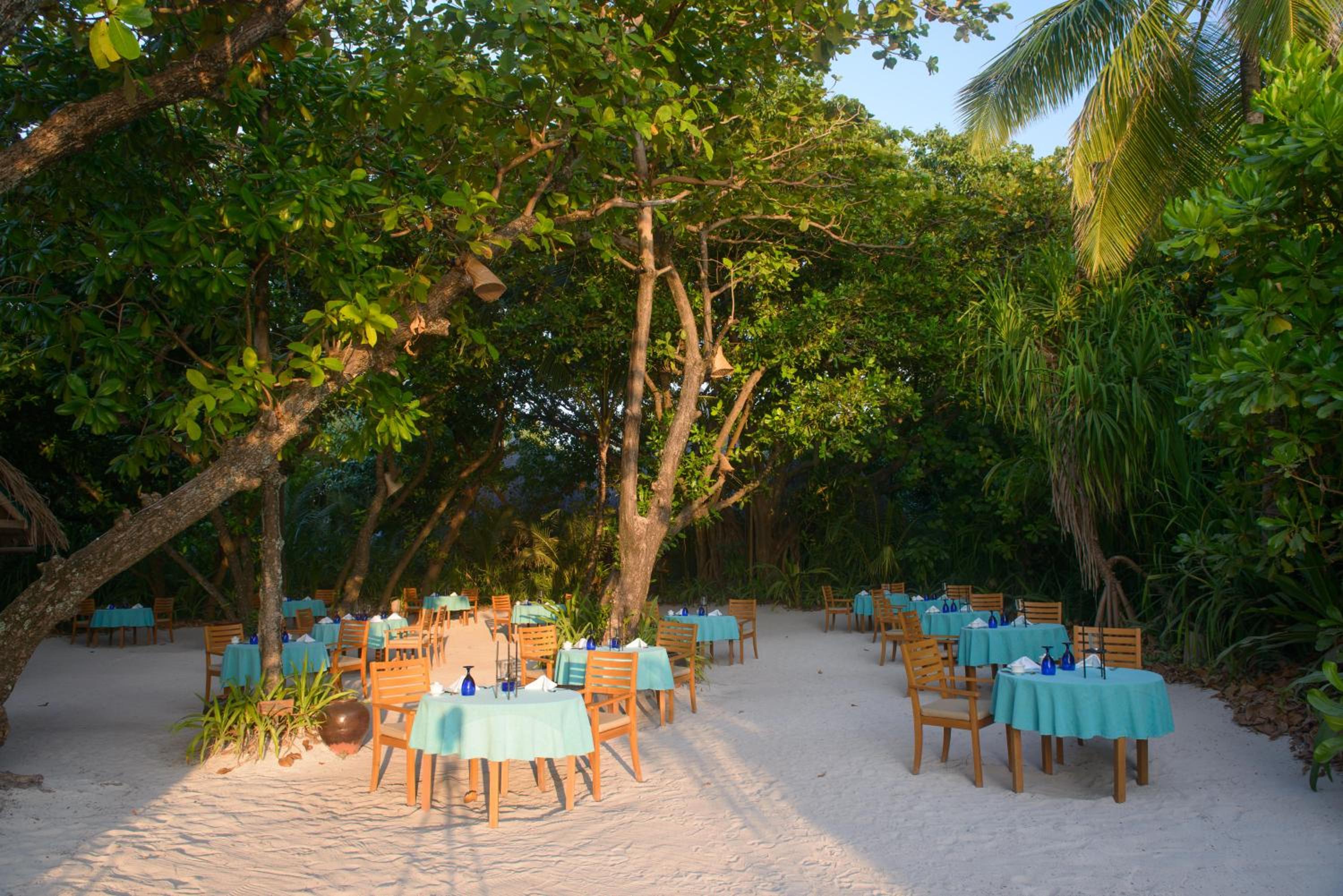 Coco Palm Dhunikolhu — снимок 17