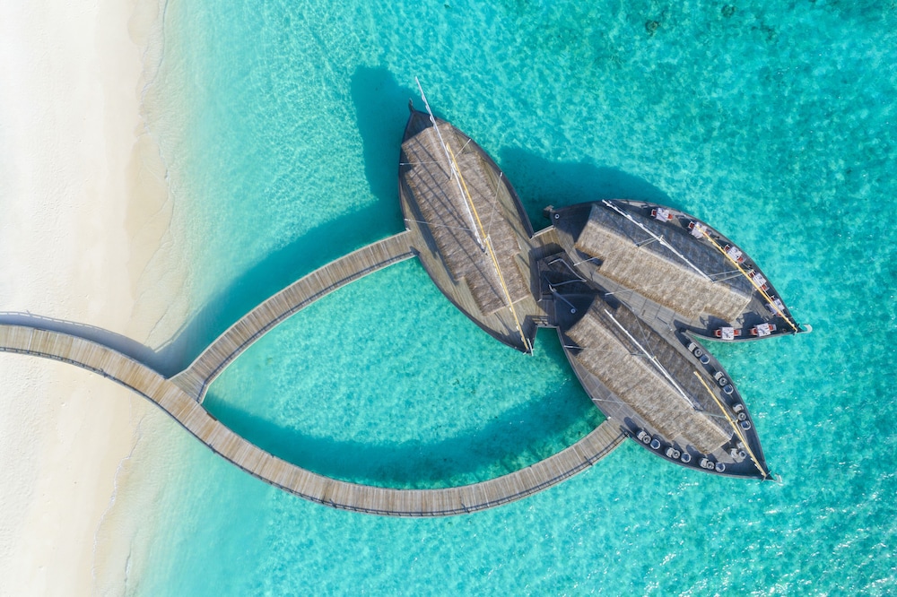 Milaidhoo Island Maldives — снимок 18