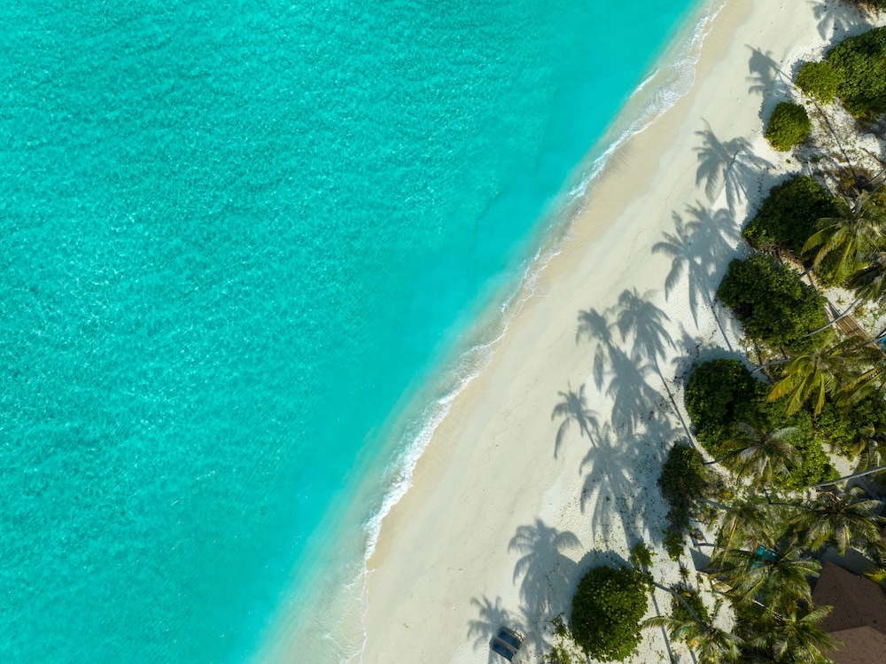 Avani + Fares Maldives — снимок 29