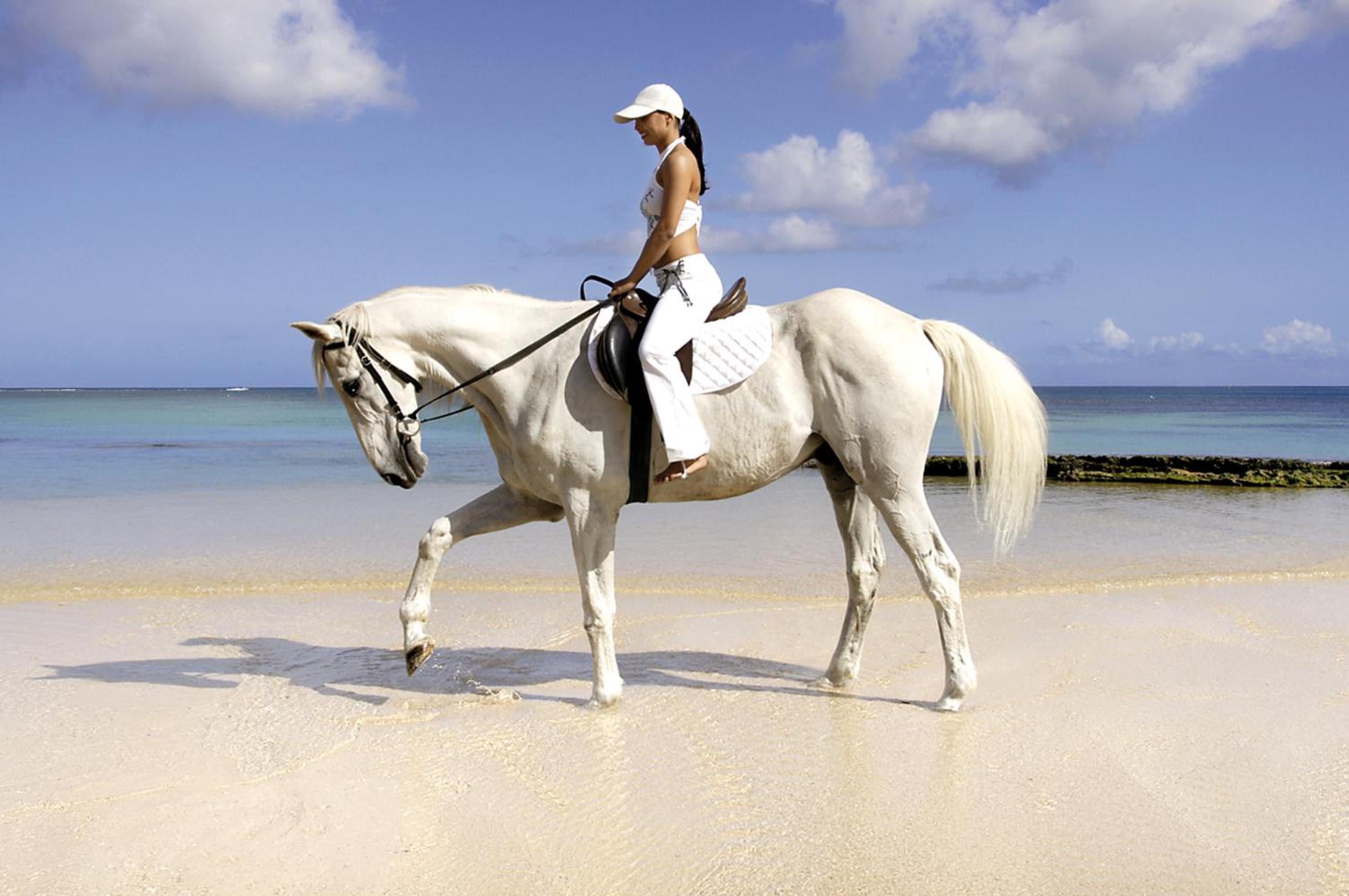 Maritim Resort & Spa Mauritius — снимок 9