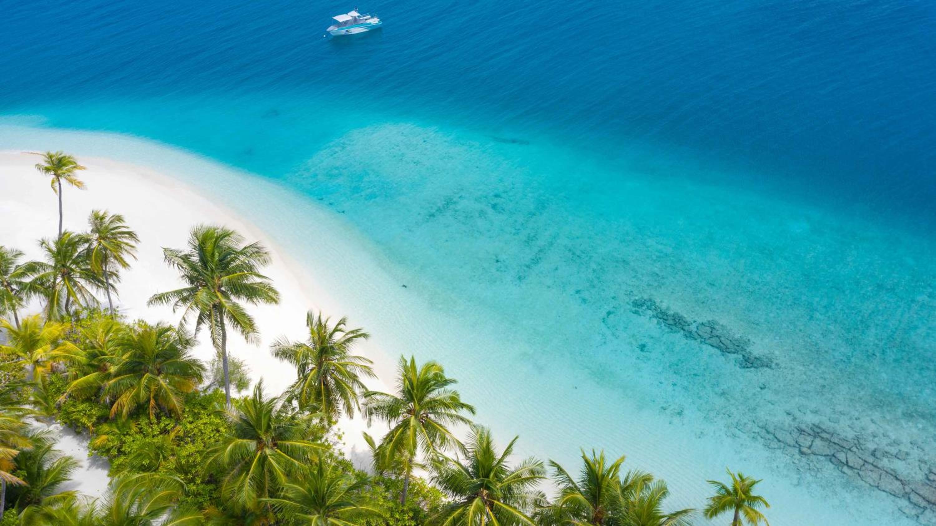 Fiyavalhu Resort Maldives — снимок 30