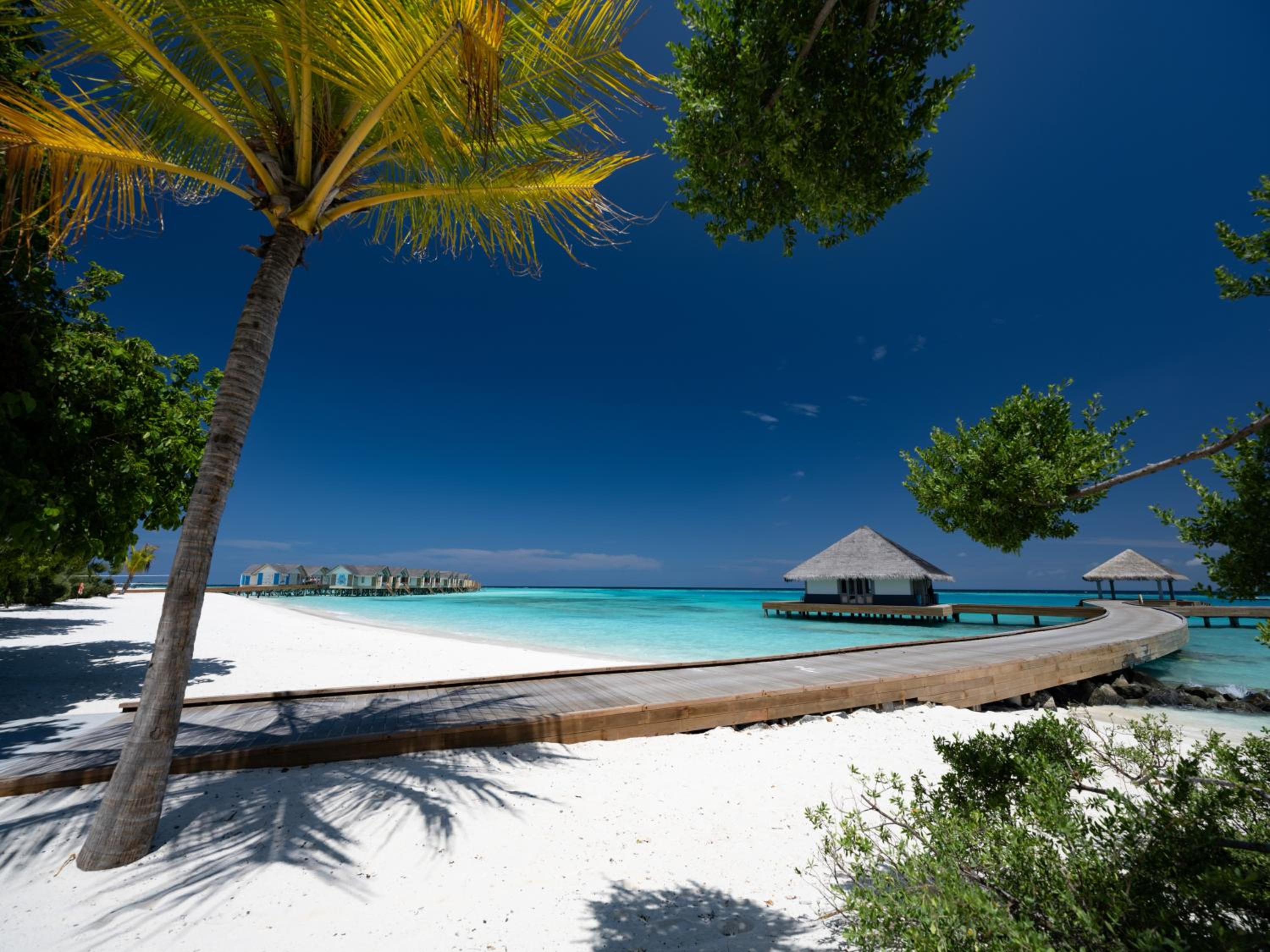 Cora Cora Maldives — снимок 25