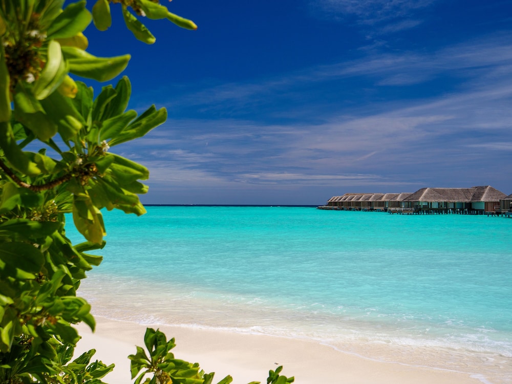 Baglioni Resort Maldives — снимок 22