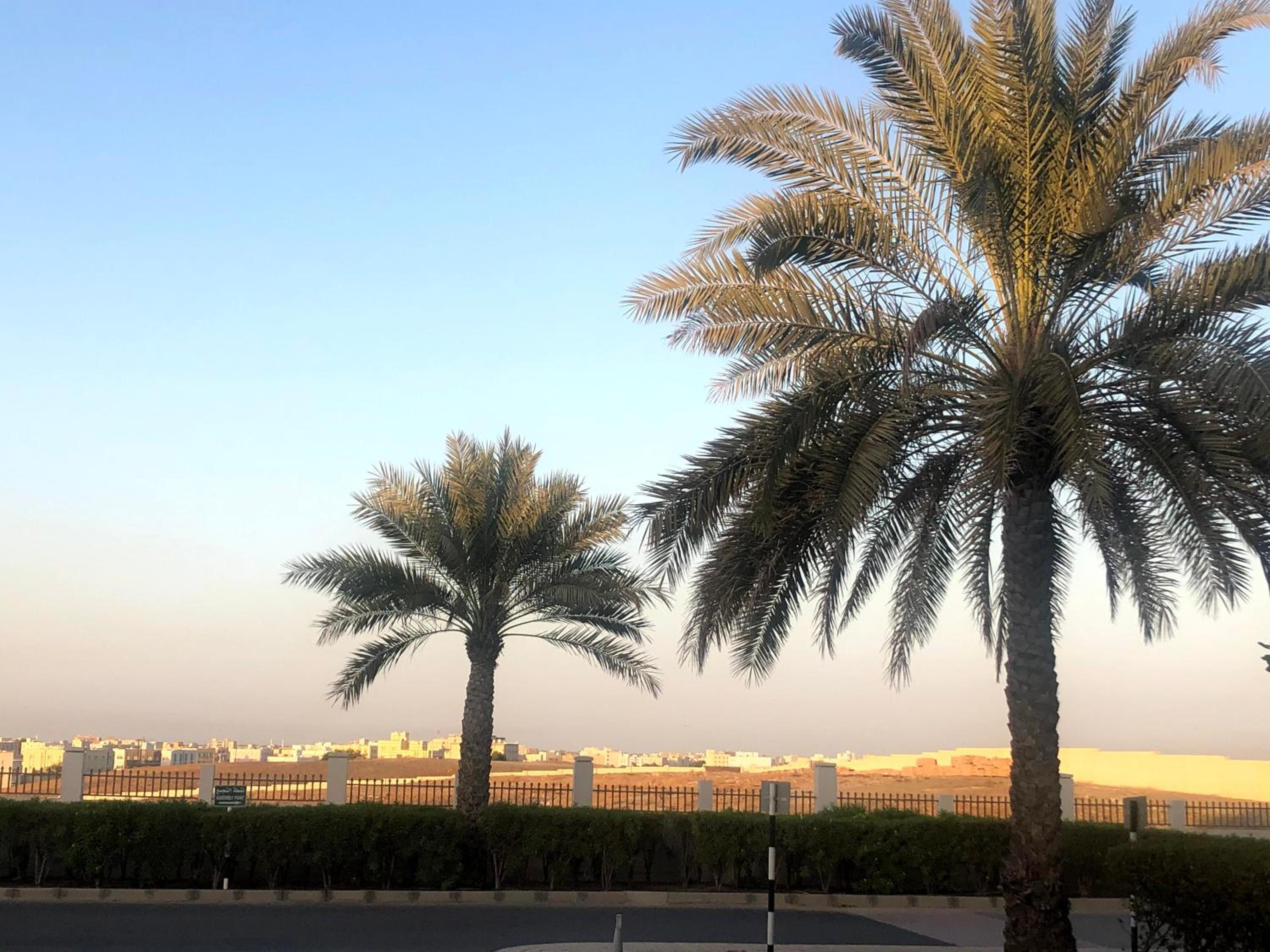 Crowne Plaza Sohar, an IHG Hotel — снимок 24