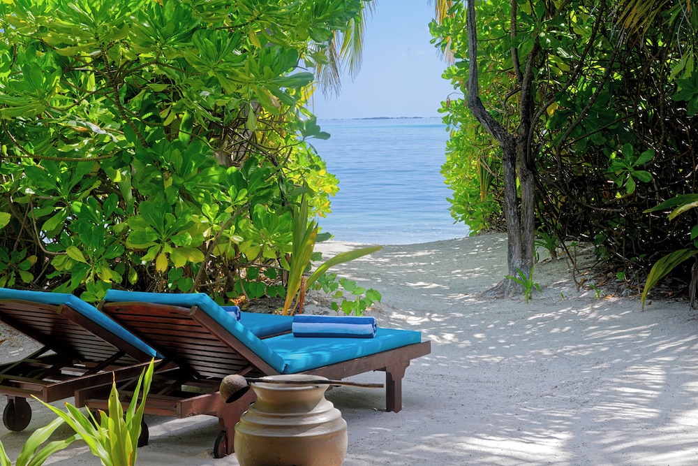 Canareef Resort Maldives — снимок 23