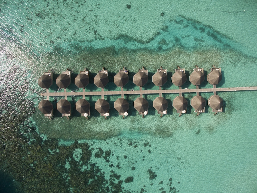 Angaga Island Resort and Spa — снимок 18