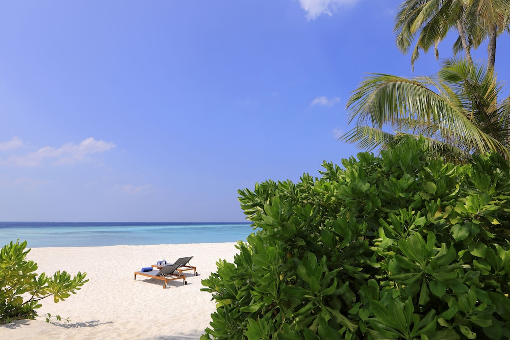 Avani + Fares Maldives — снимок 22