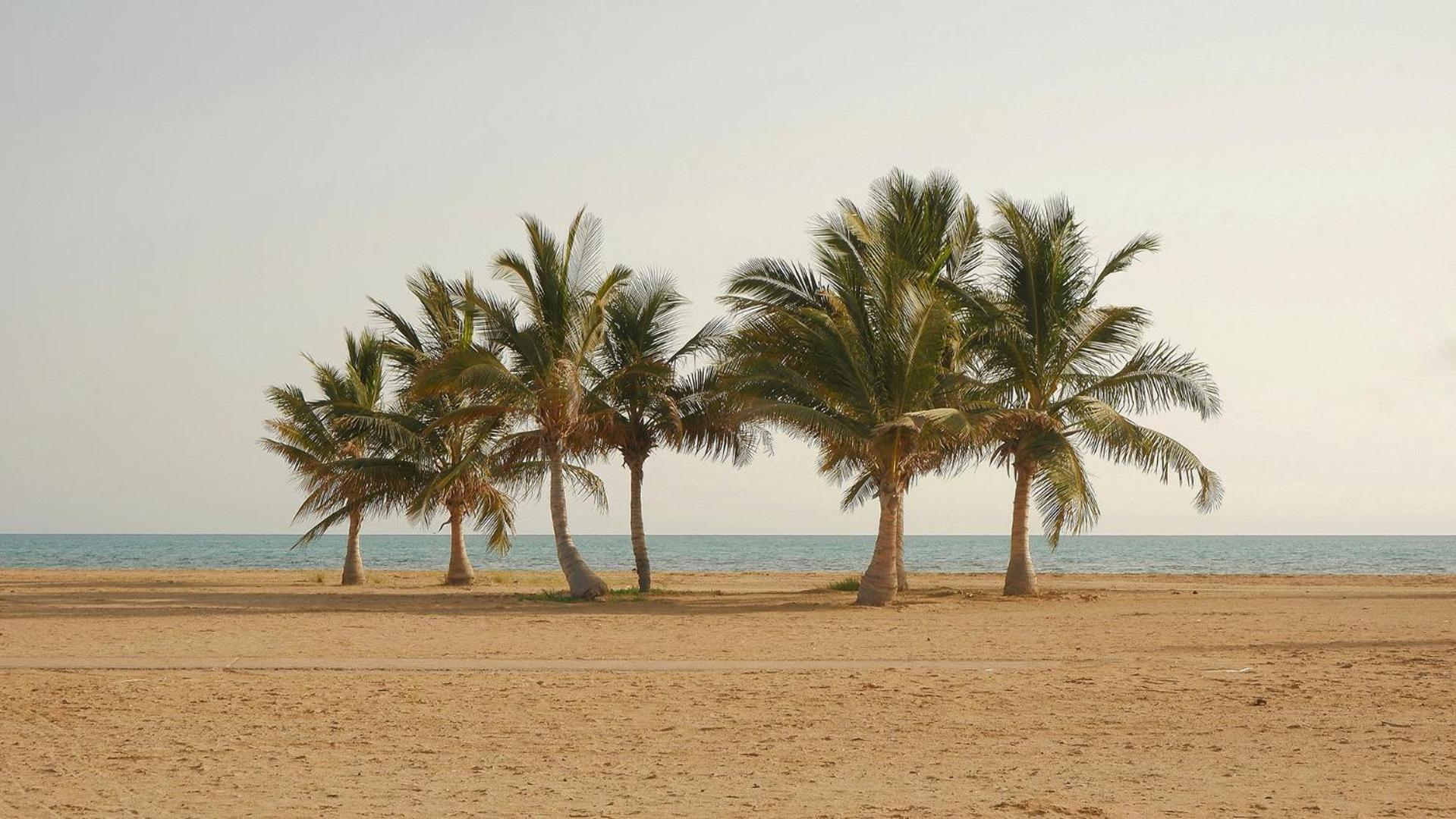 Movenpick Hotel & Resort Yanbu — снимок 4