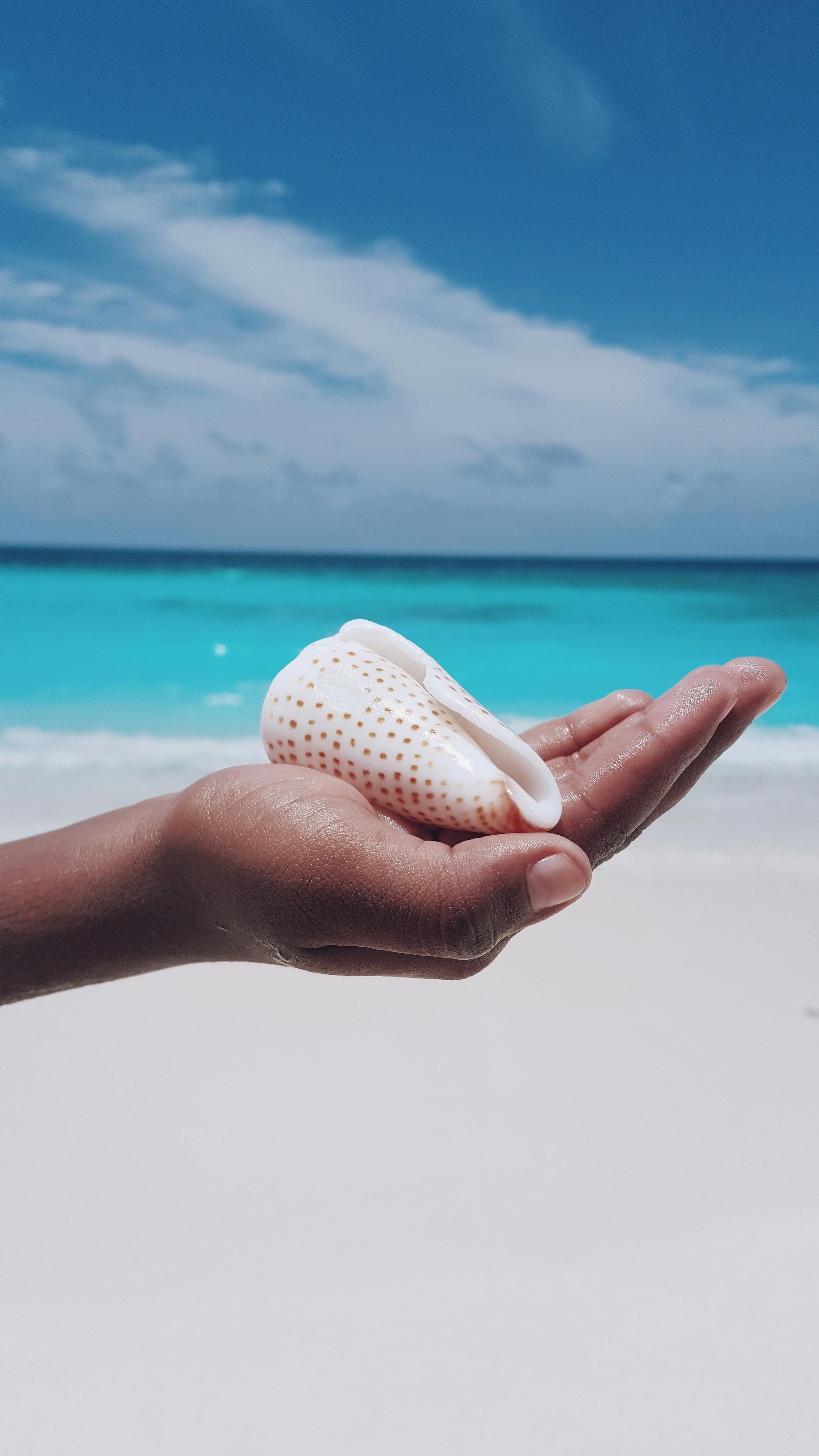 Nilaa Coral Island Maldives — снимок 14