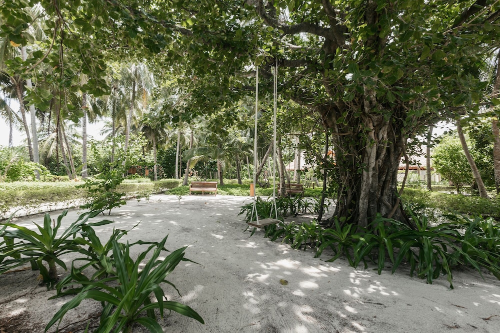 Reethi Faru Resort — снимок 13