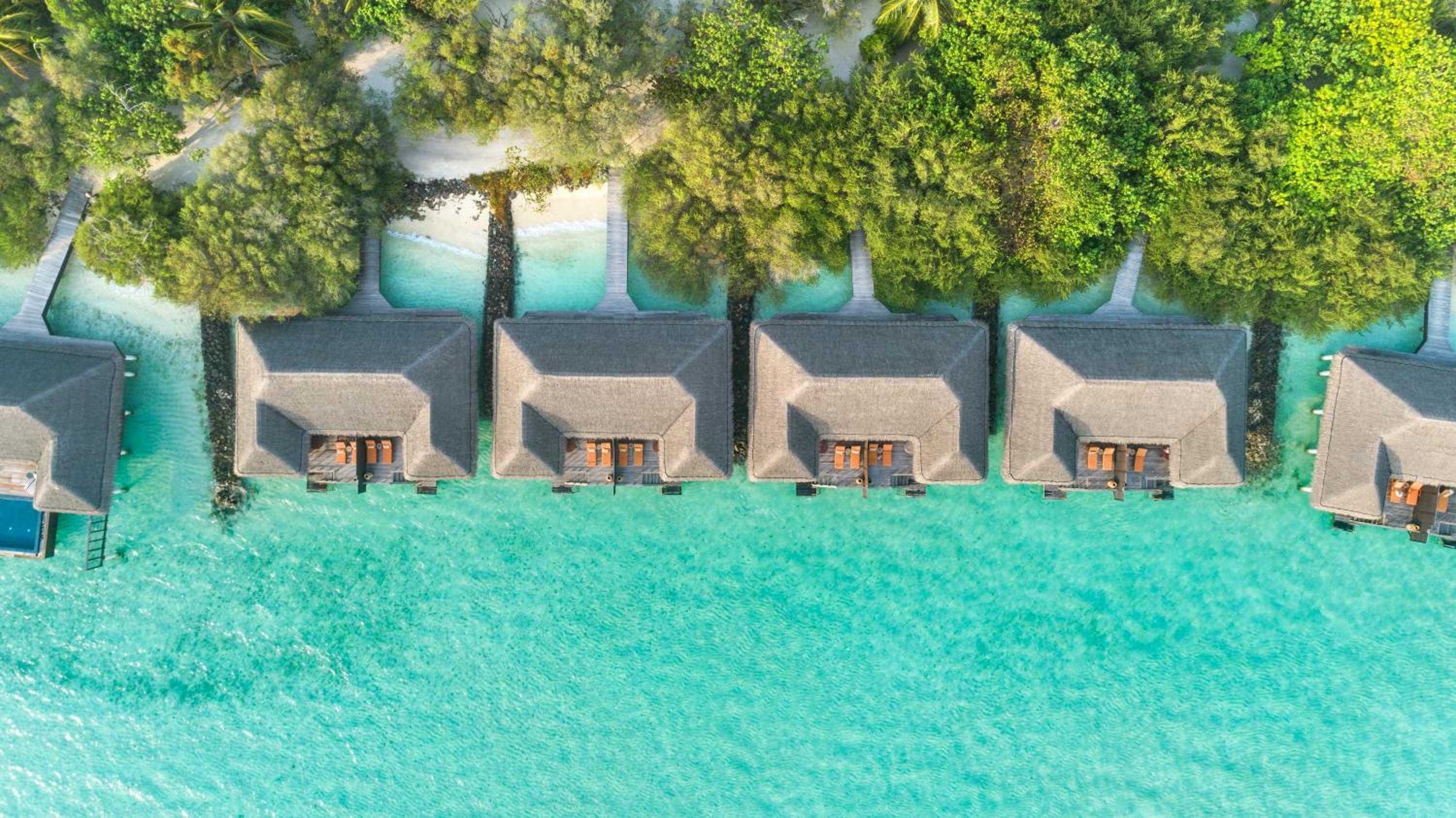 Taj Exotica Resort & Spa Maldives — снимок 4