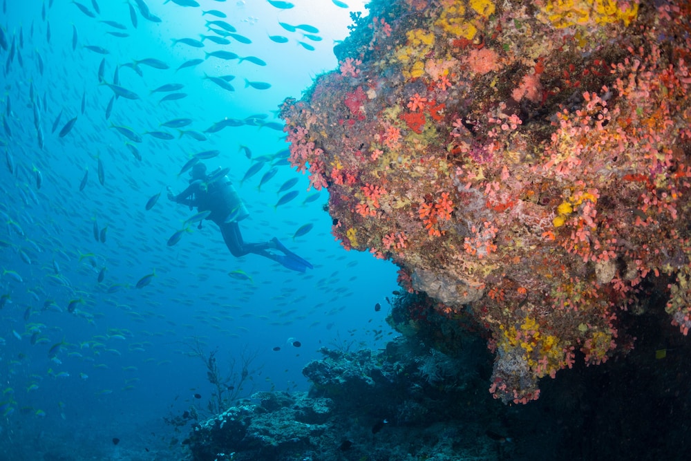 Milaidhoo Island Maldives — снимок 8
