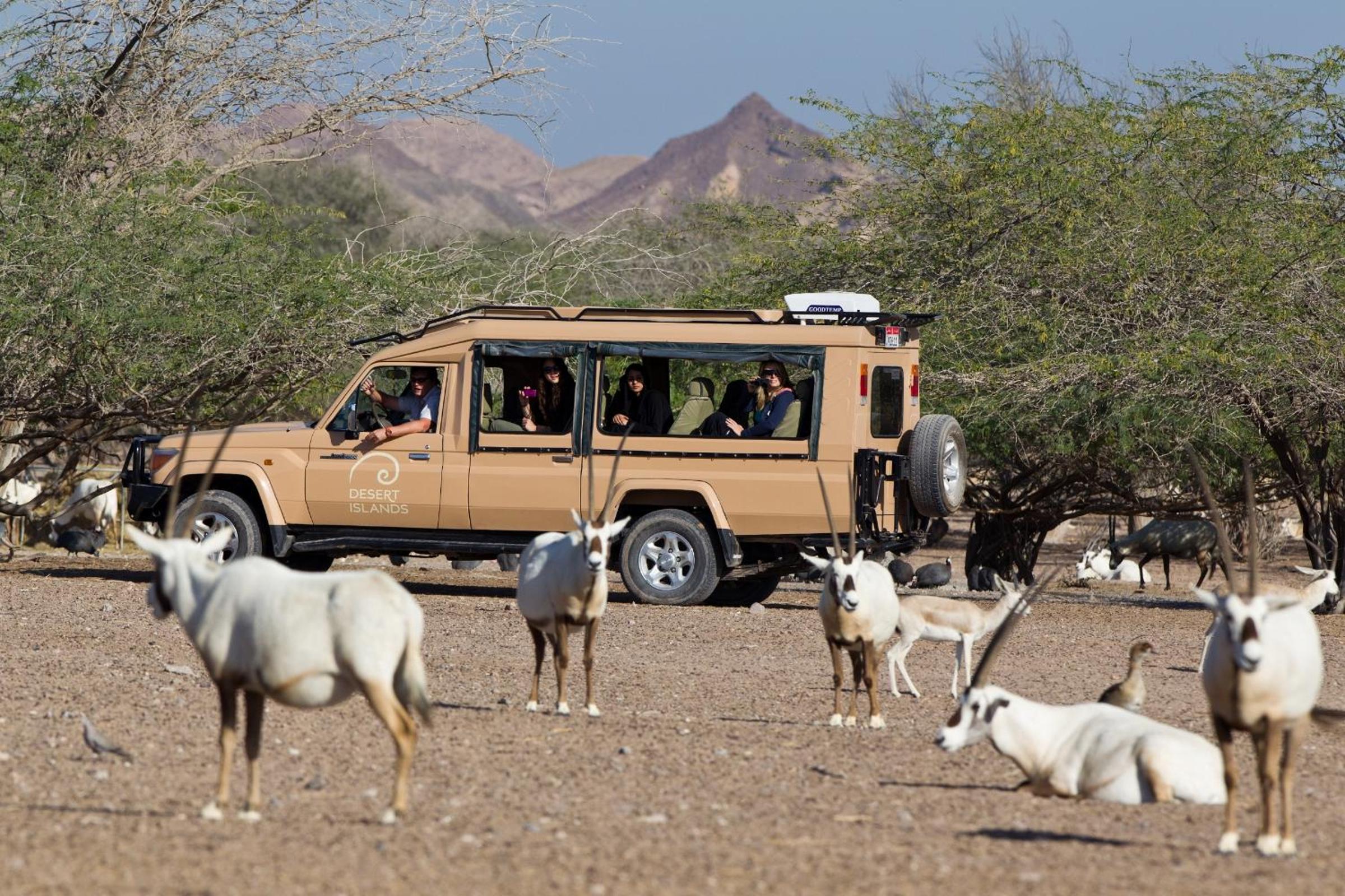 Anantara Sir Bani Yas Island Al Yamm Villa Resort — снимок 8