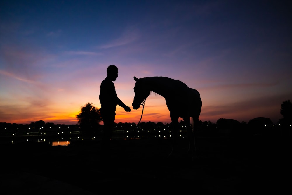 Anavrin Equestrian Retreat — снимок 18