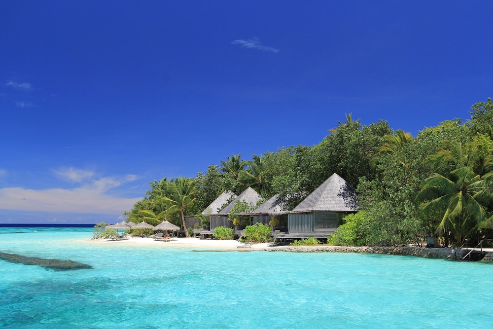 Gangehi Island Resort — снимок 24