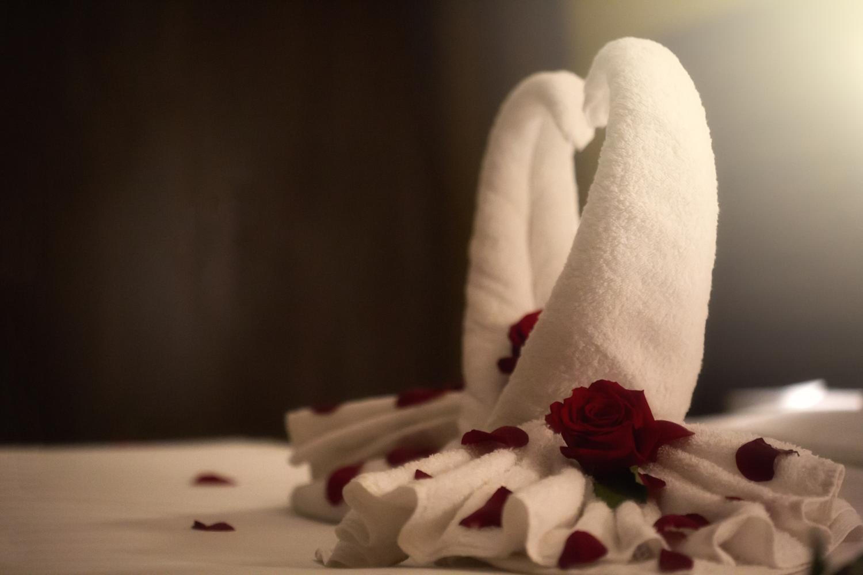 Al Safwah Royale Orchid — снимок 30