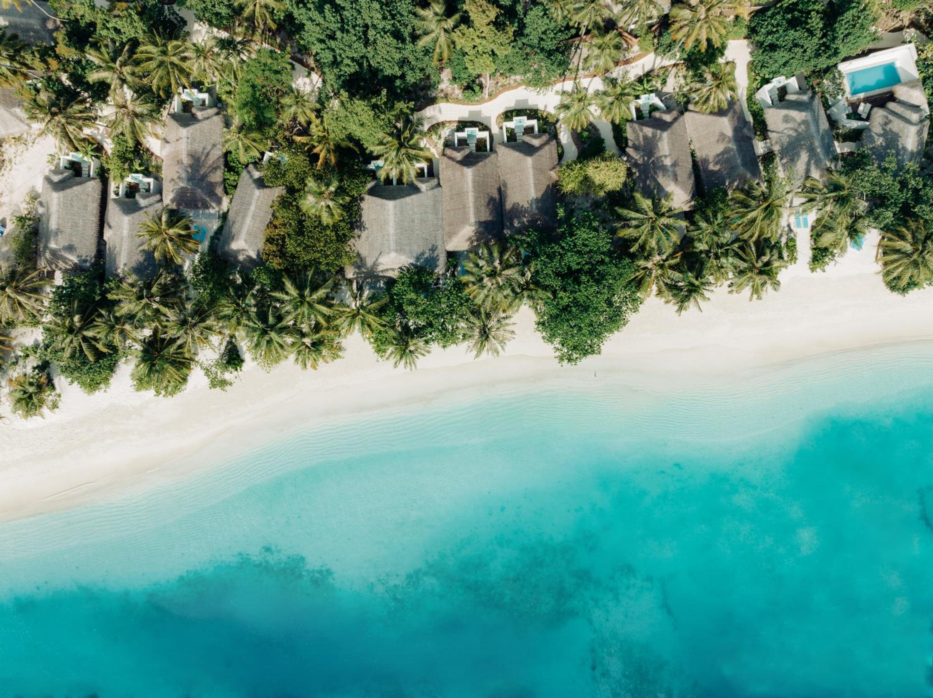 Nova Maldives — снимок 10