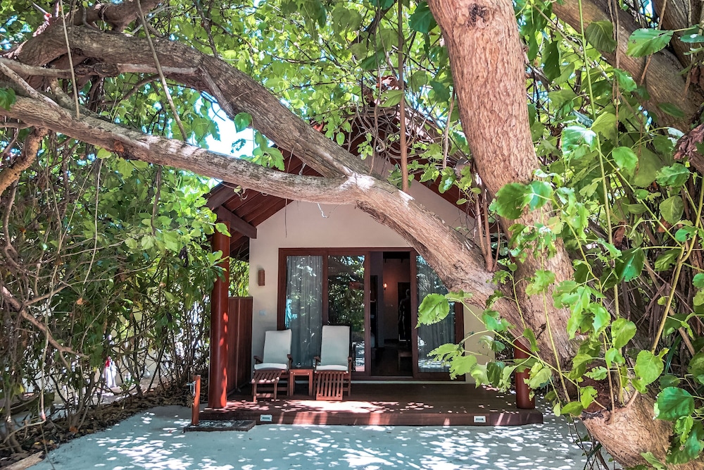 Reethi Faru Resort — снимок 27