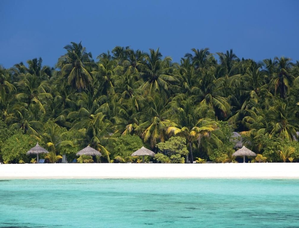Filitheyo Island Resort — снимок 4