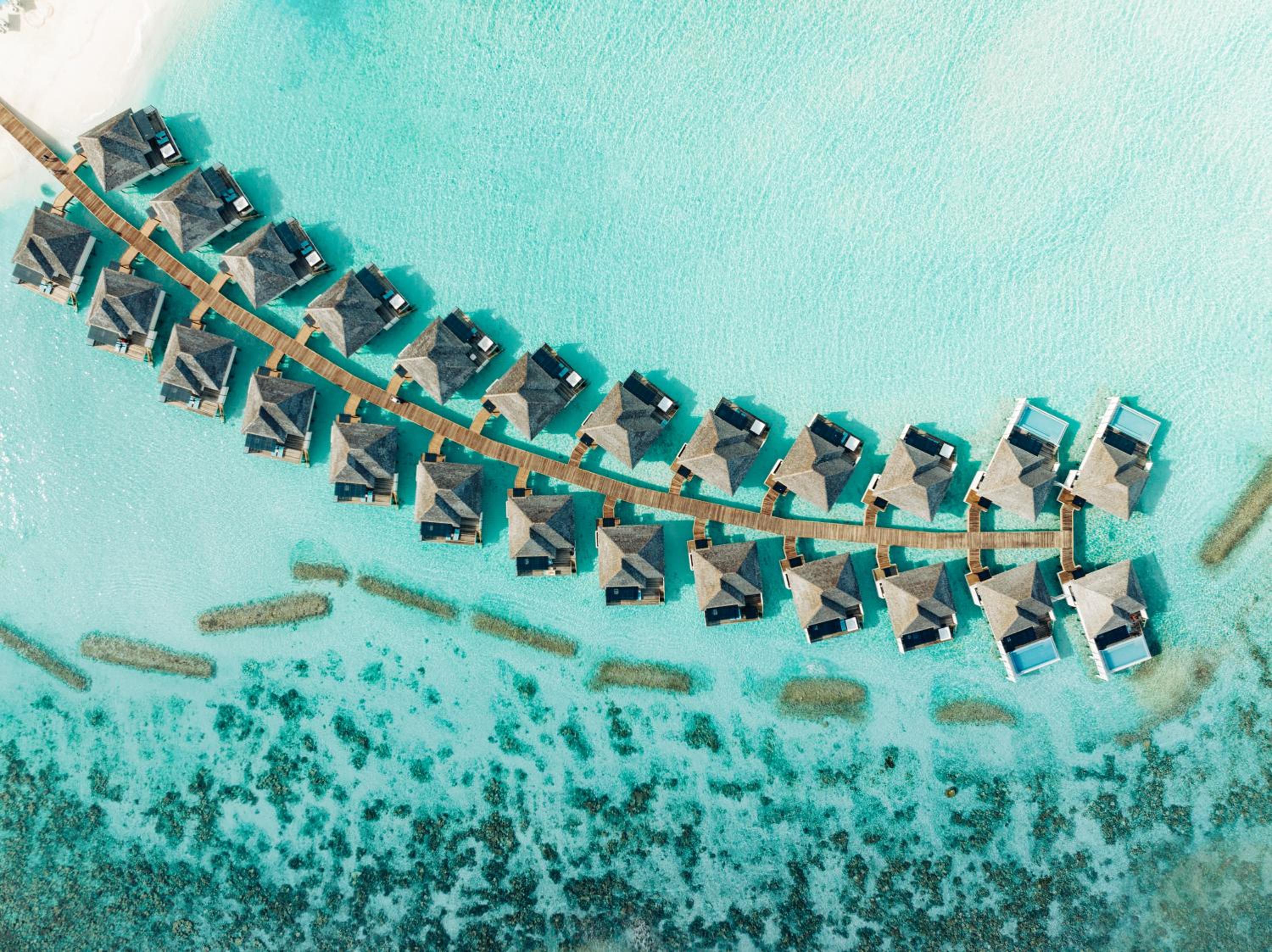 Nova Maldives — снимок 23