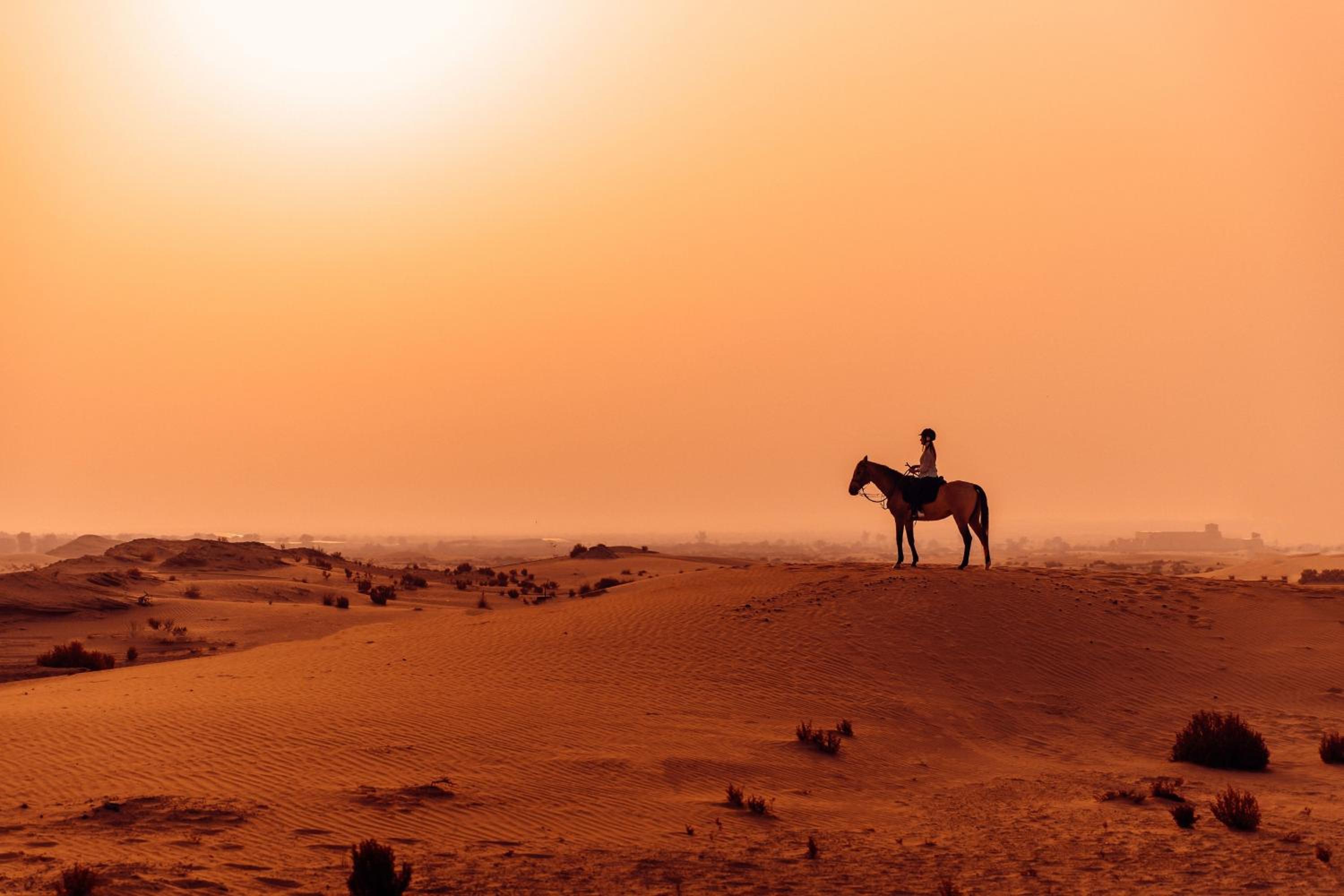 Al Wathba, a Luxury Collection Desert Resort & Spa, Abu Dhabi — снимок 10