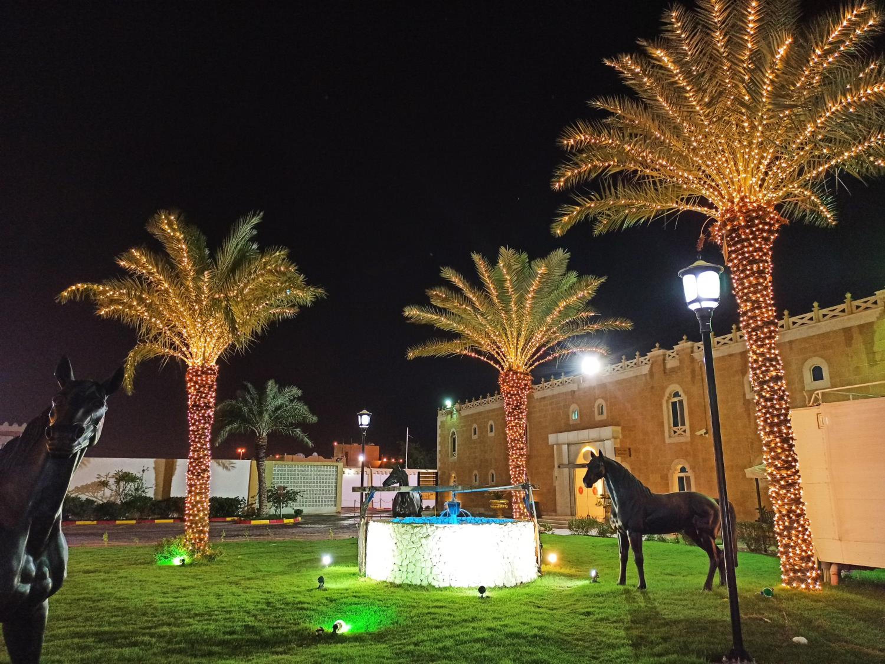 Al Sultan Beach Resort — снимок 8