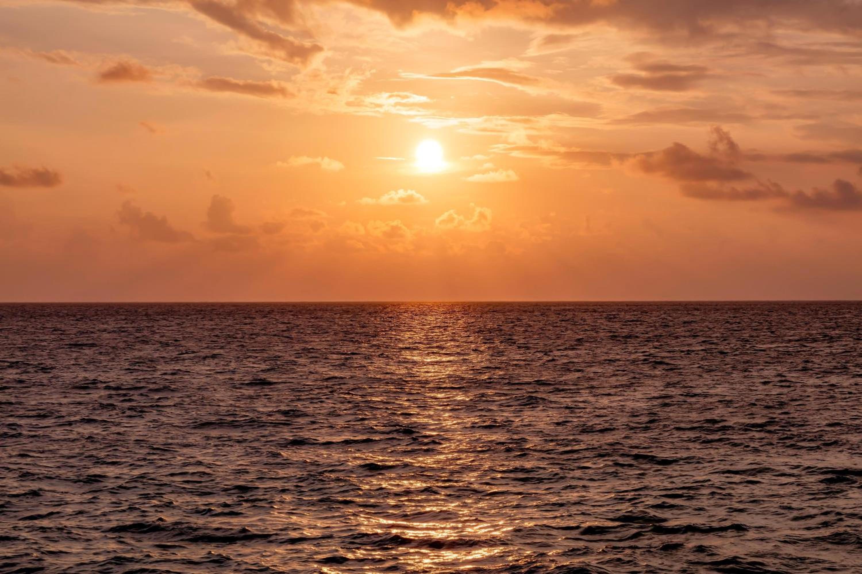 The St. Regis Vommuli Resort, Maldives — снимок 7
