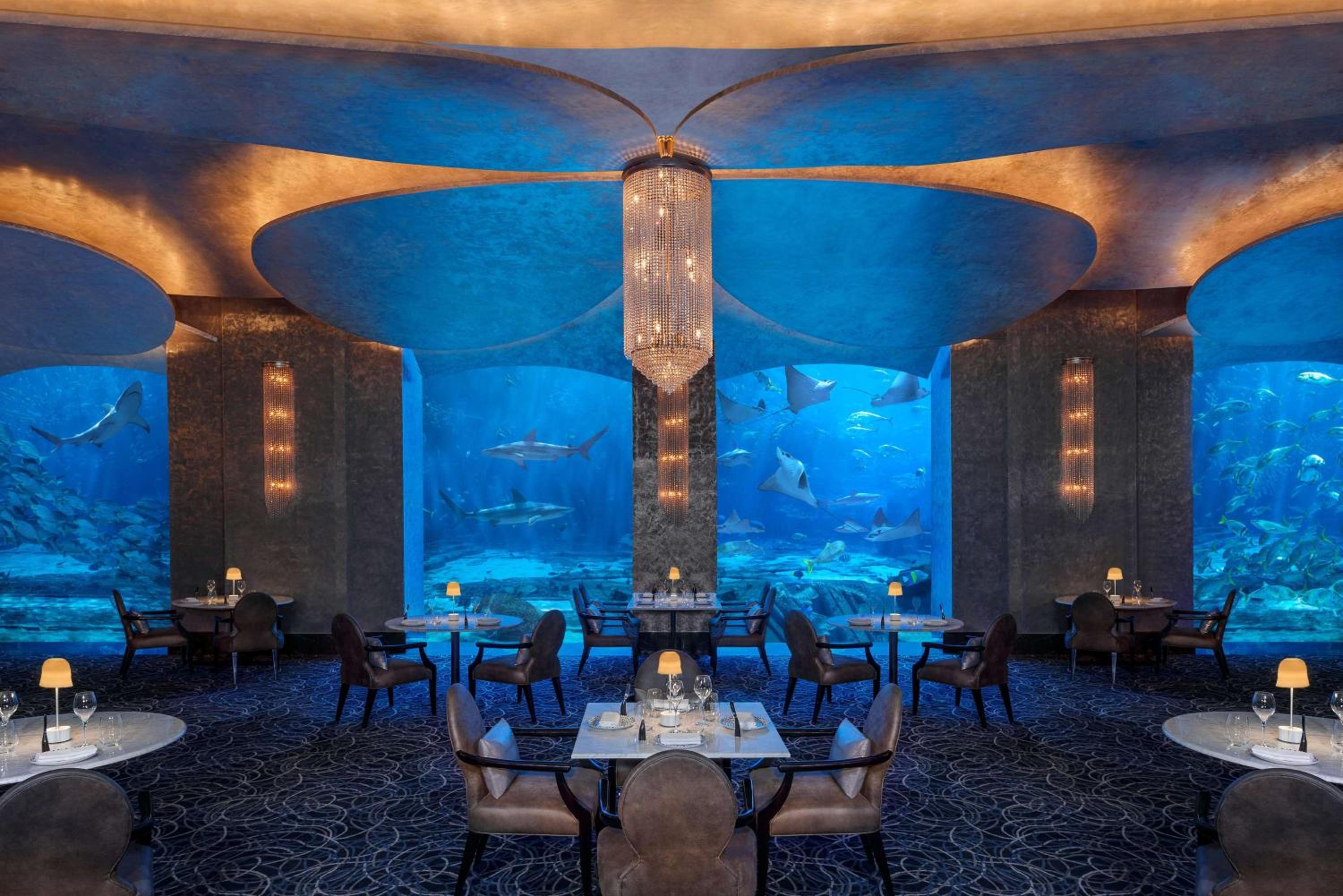Atlantis, The Palm — снимок 27