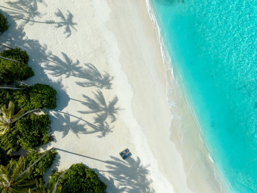Avani + Fares Maldives — снимок 27