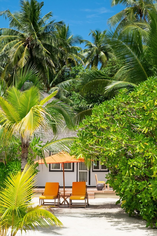 Angsana Resort & Spa Maldives - Velavaru — снимок 8