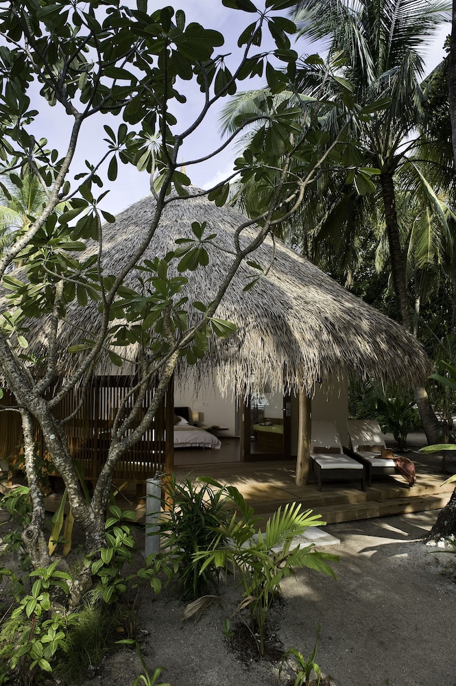 Niva Kuramathi Maldives — снимок 23