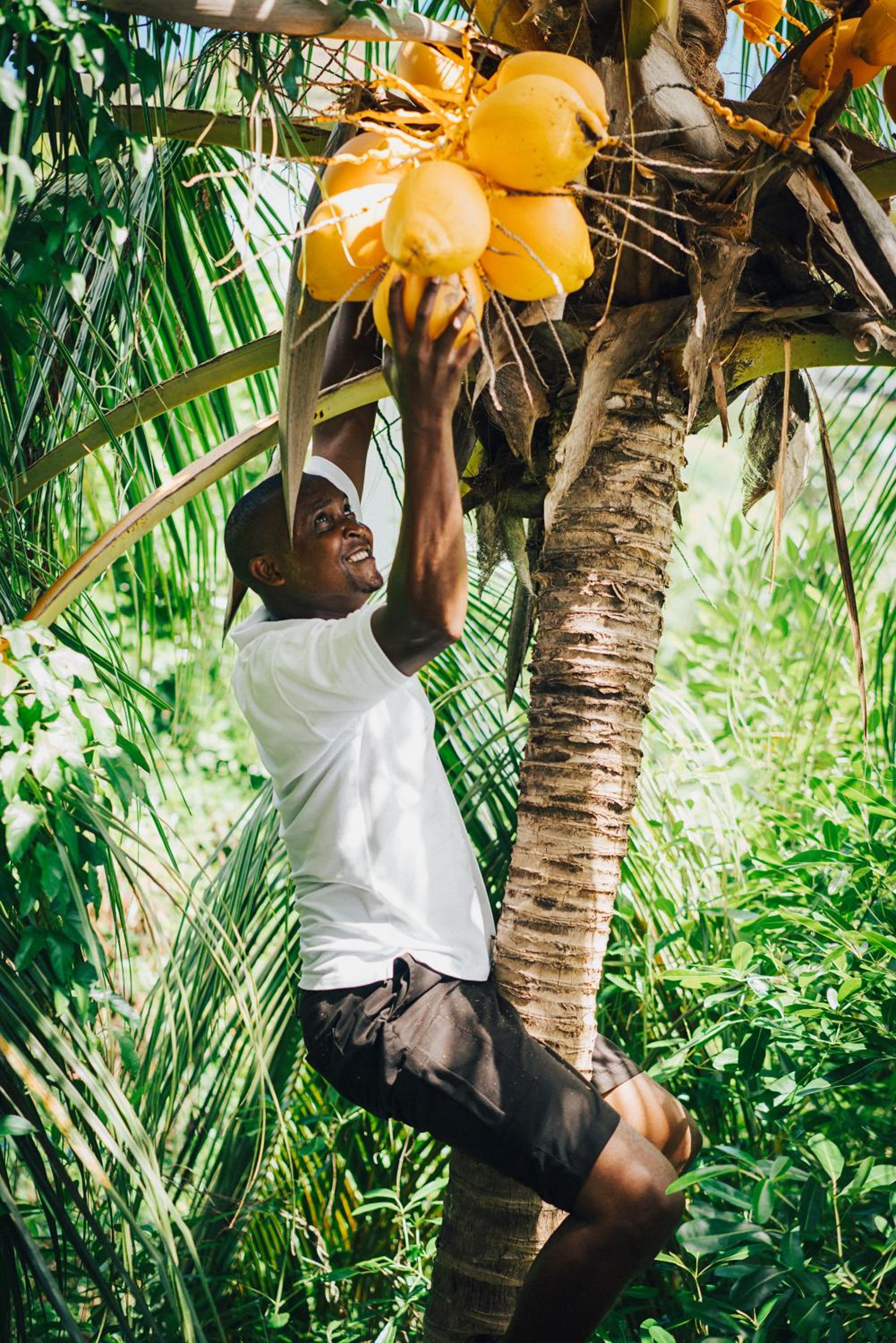 Raffles Seychelles — снимок 23