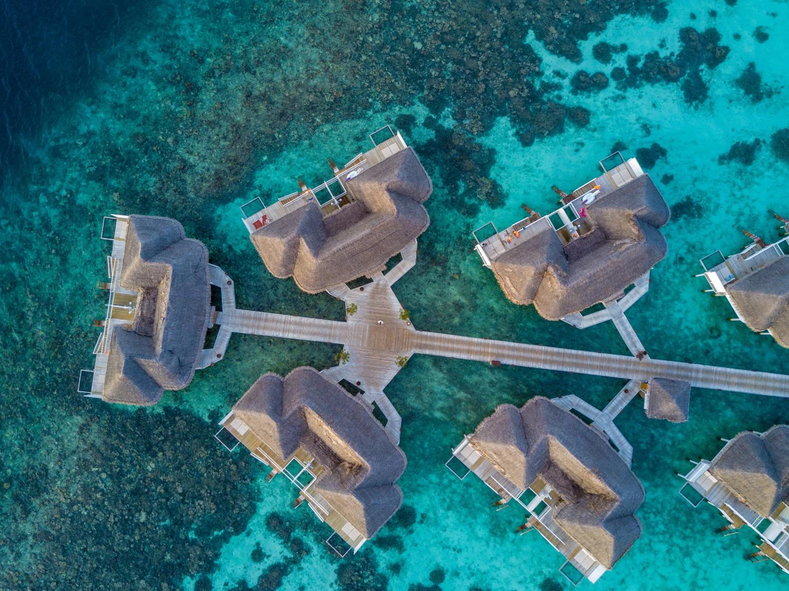 Machchafushi Island Resort & Spa Maldives, The Centara Collection — снимок 15