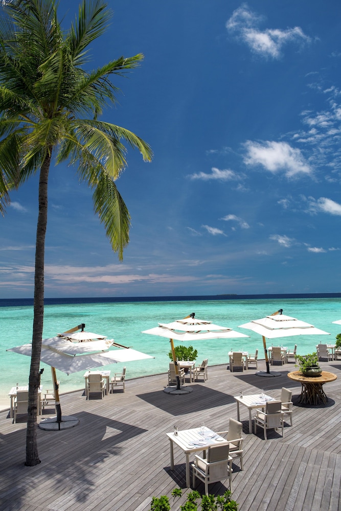 Milaidhoo Island Maldives — снимок 11
