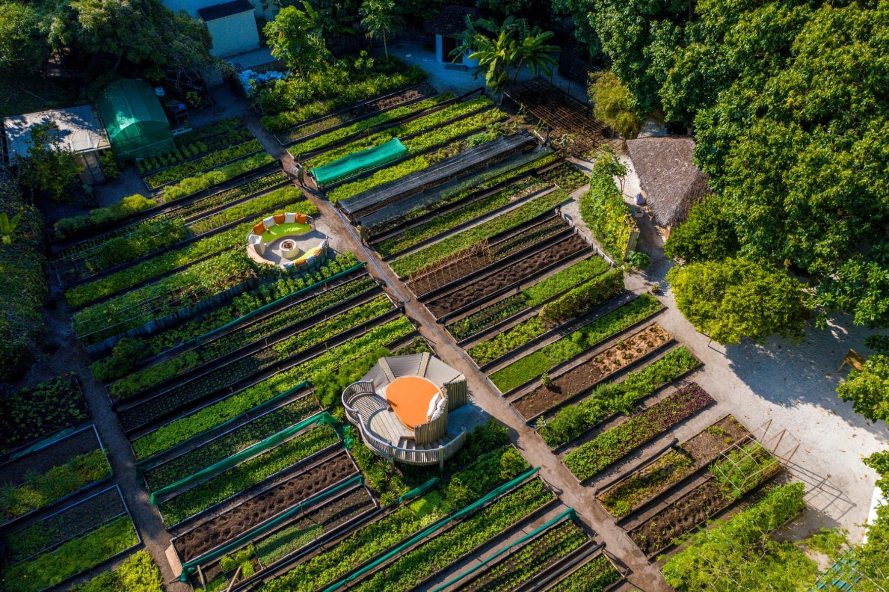 Soneva Fushi Resort — снимок 21