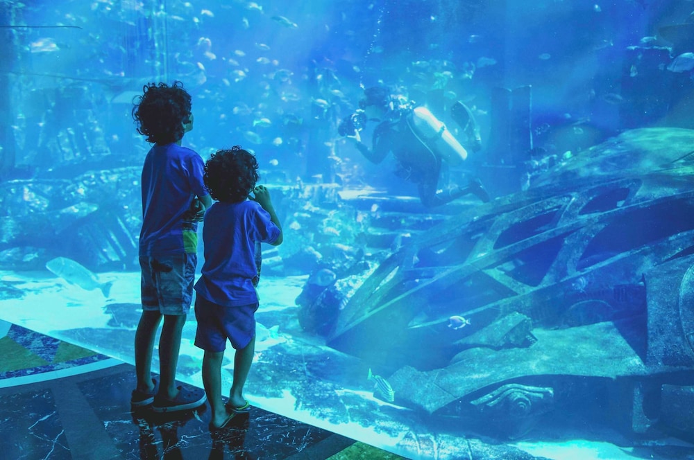 Address Dubai Mall — снимок 22