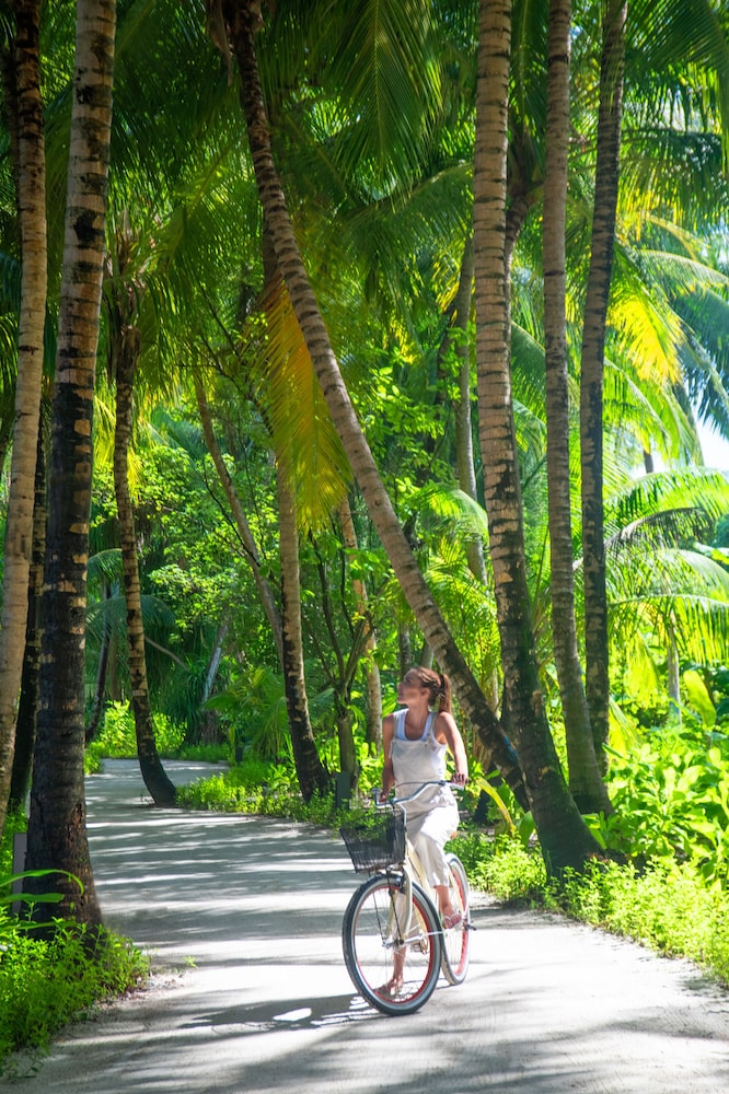The Residence Maldives At Dhigurah — снимок 29